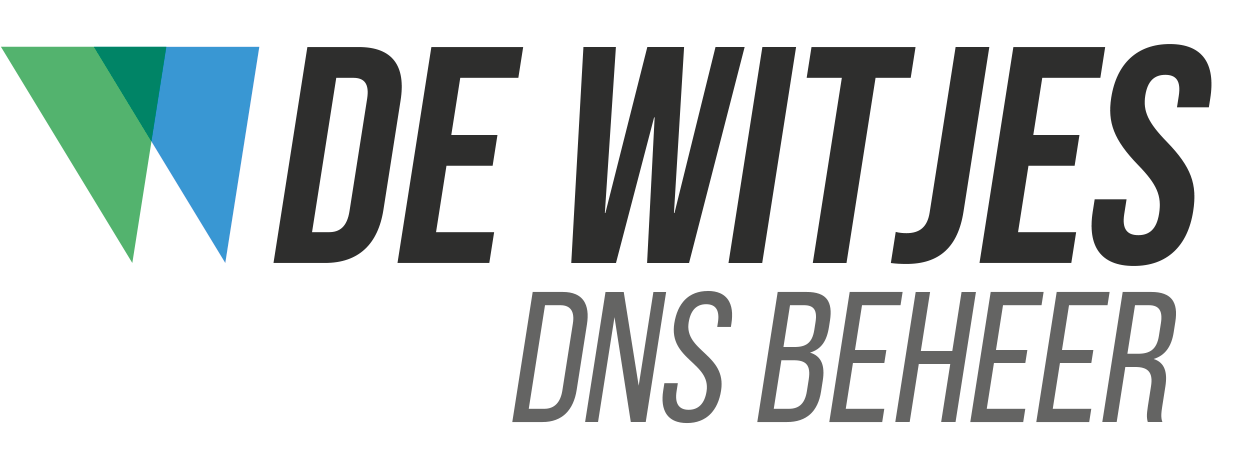 DNS Management Control Panel